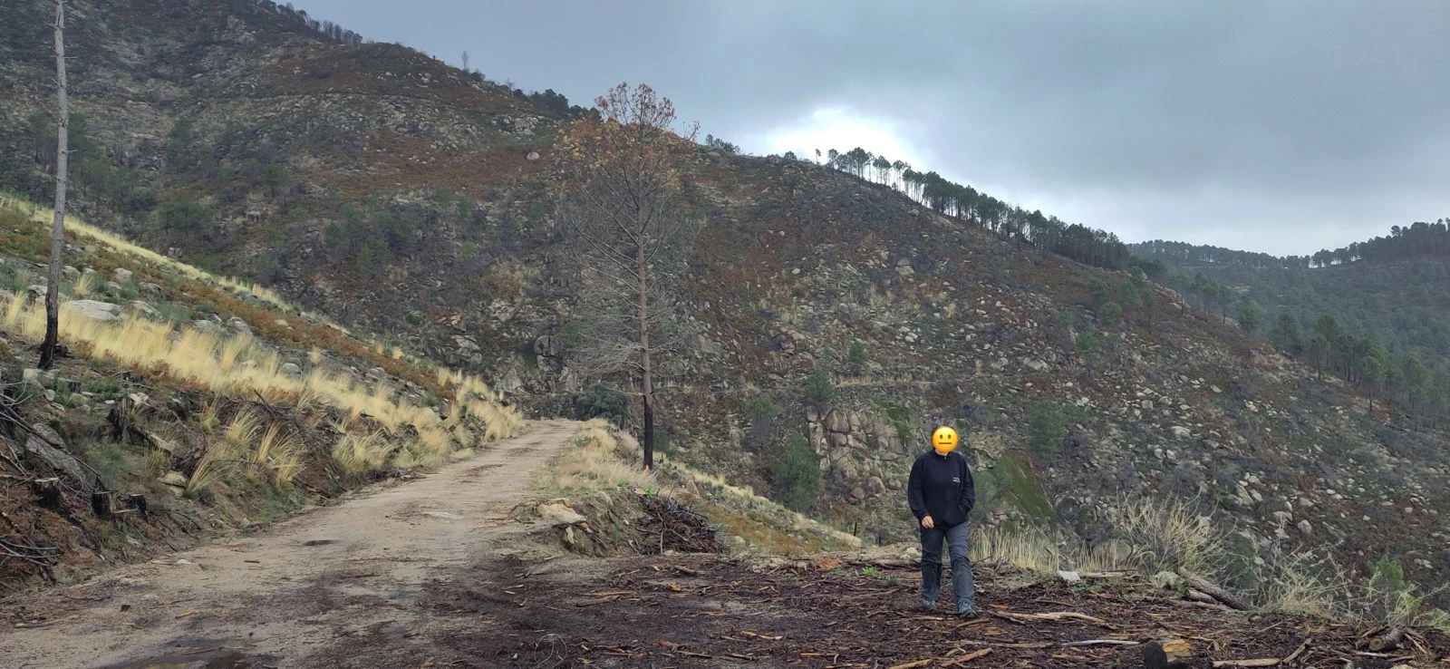 Burnt hillside with exposed soil; face obscured for privacy. Photograph supplied by Global Biodesign.