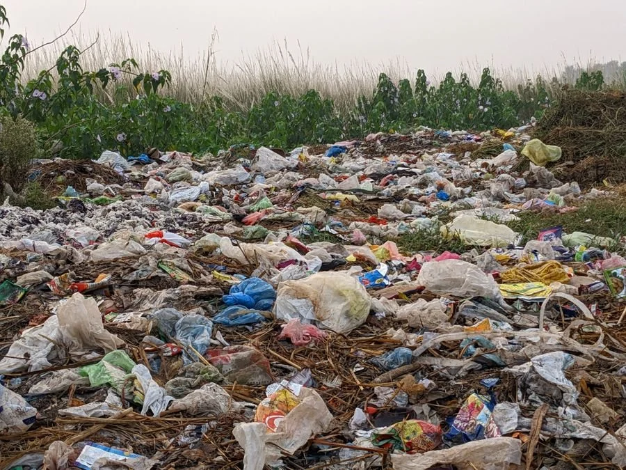 Plastic waste reaches natural habitats.