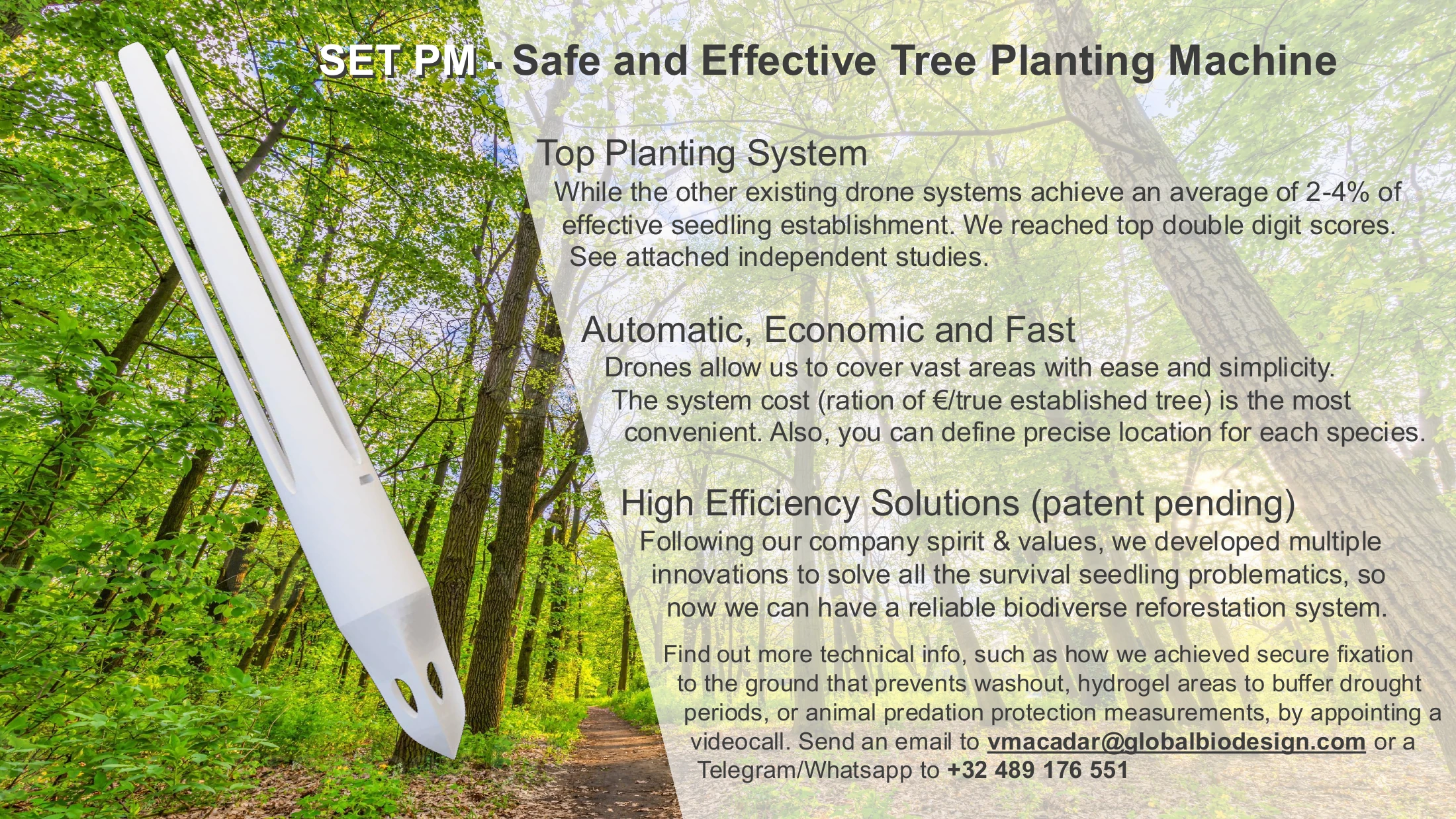 Protection, anchoring and underground moisture access.