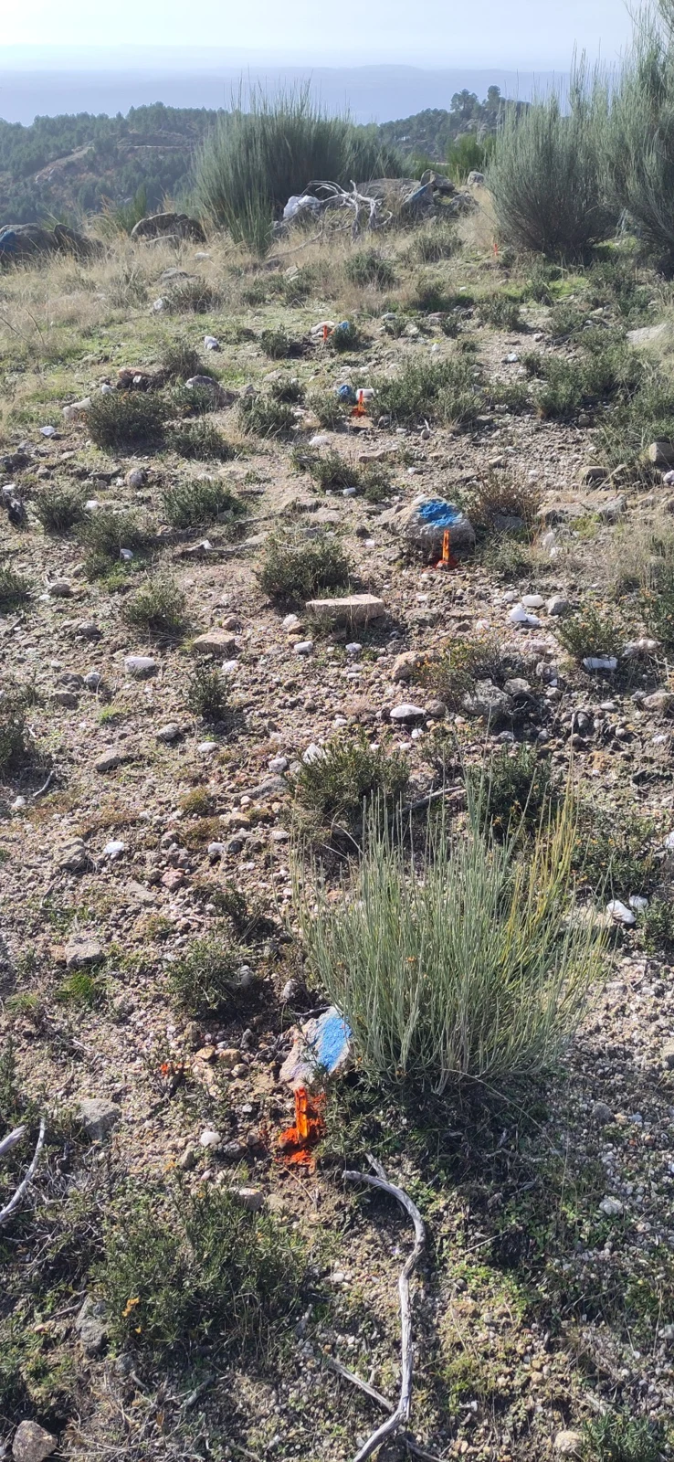 Testings in open fields