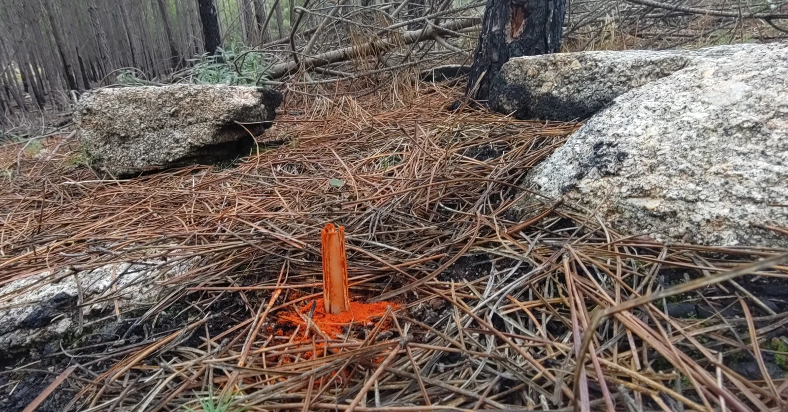 Anchored with natural animal spice deterrent