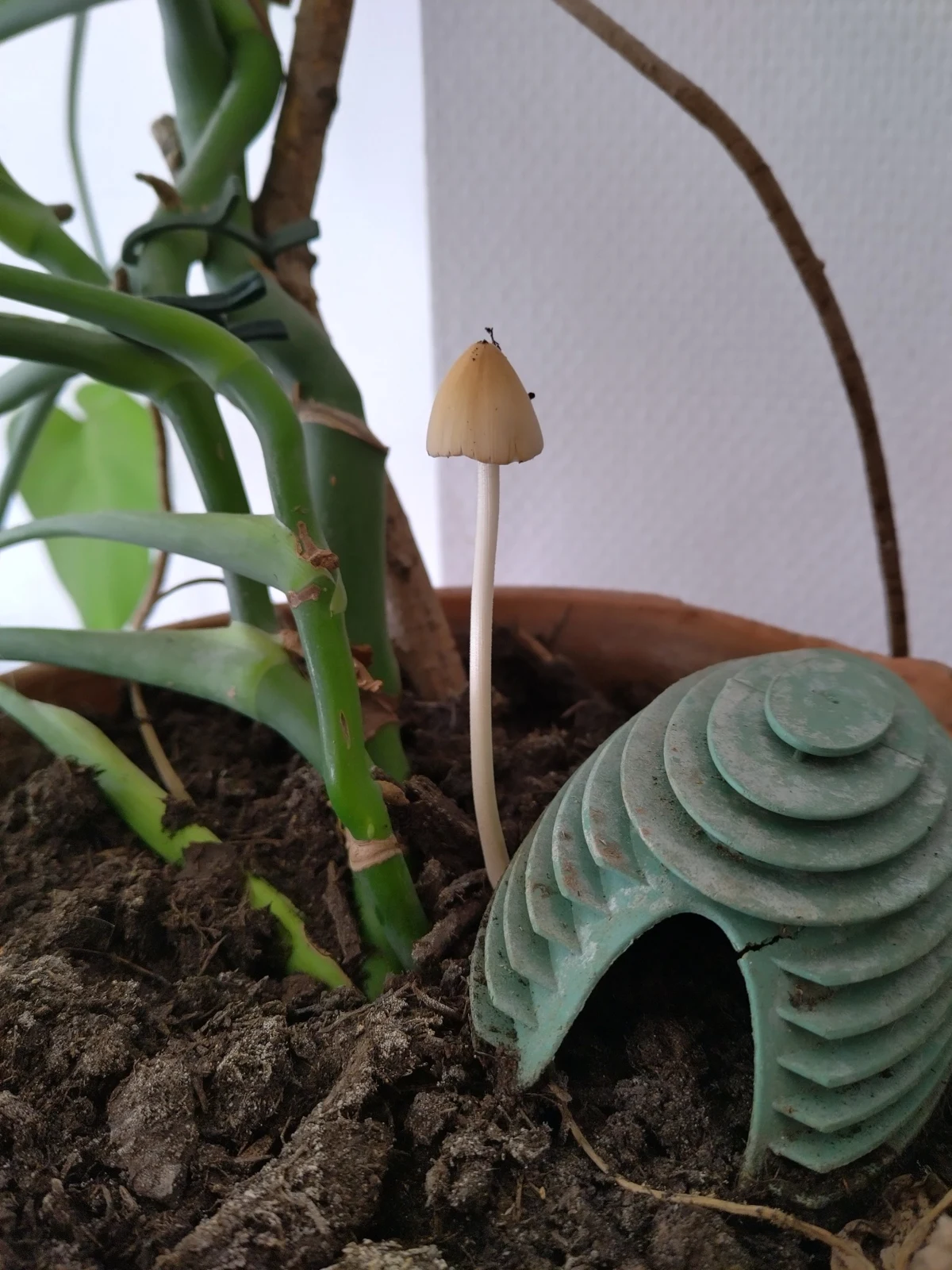 Natural biodradation effect.