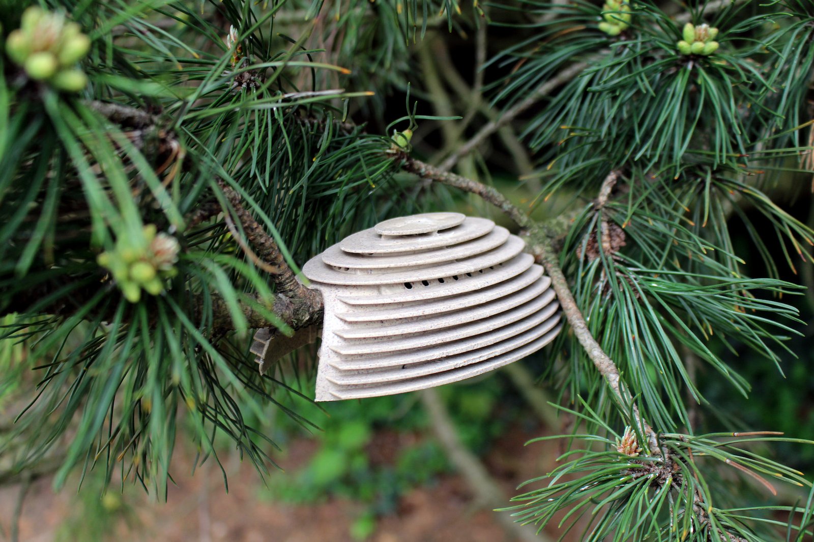 a bioclip img 9630llllr