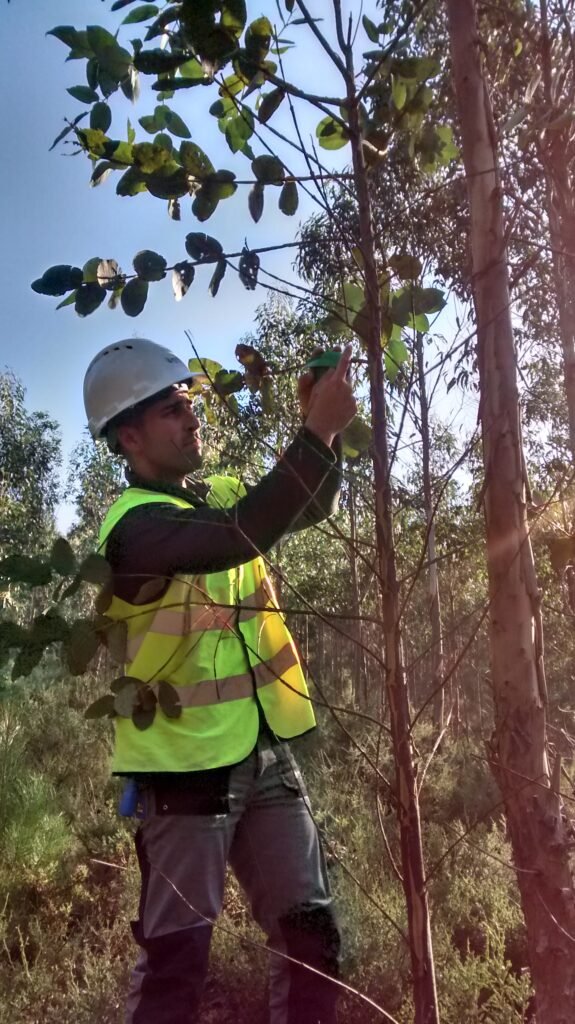 instalando bioclip en españa